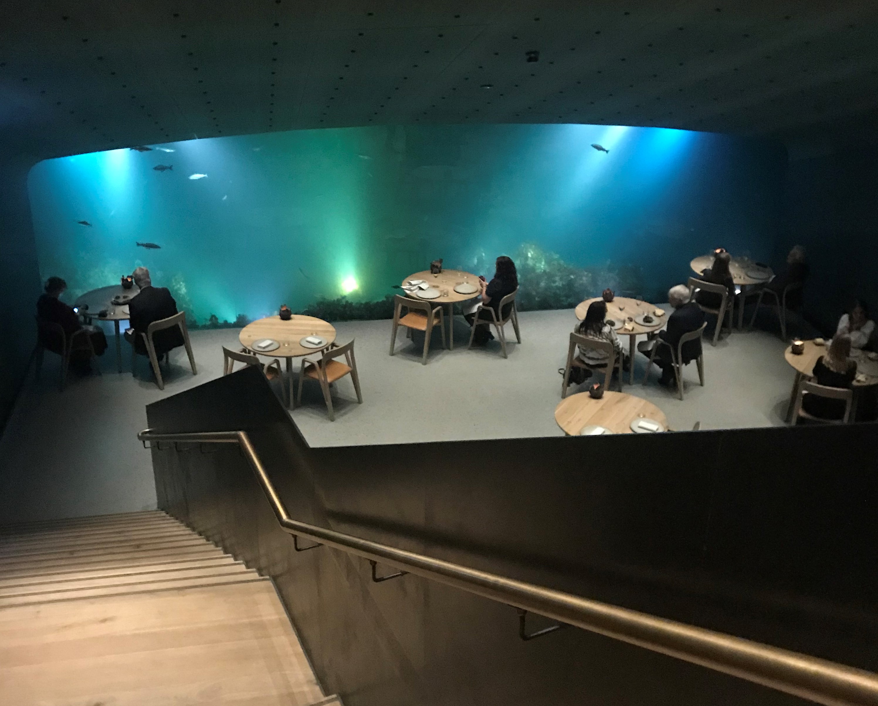 Restaurant Under